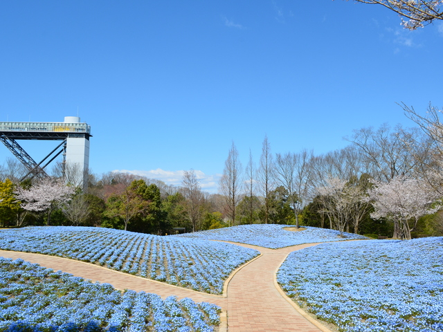岐阜のデートスポット35選 絶対外さない人気おすすすめスポットはココ!