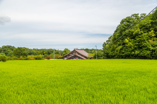 お食事処 石庭(高屋町)でブランド地鶏のランチ