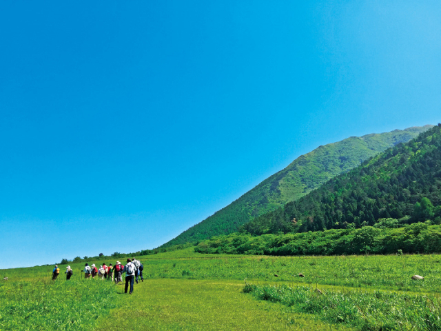 【山陰~備北ドライブ旅:1日目】国立公園 三瓶山を散策【三瓶山】