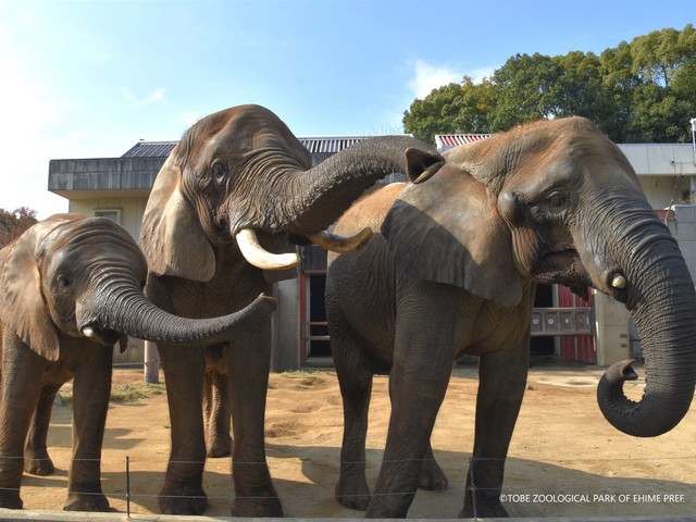 【四国地方】子供の遊び場32選 親子で楽しむならココ!