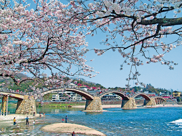 【広島&岩国ドライブ旅:2日目】風情漂う錦帯橋を散策