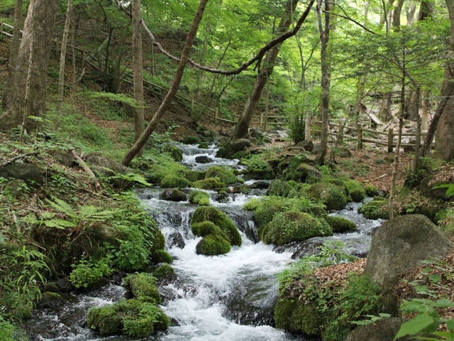 【栃木】夏におすすめの涼しい場所27選 夏こそおでかけしよう