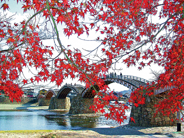 【広島&岩国ドライブ旅:2日目】風情漂う錦帯橋を散策