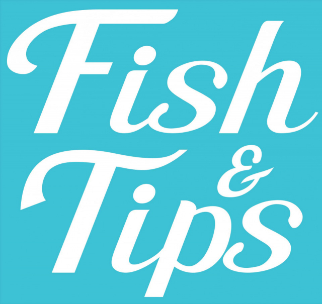 「Fish & Tips」で快適ホテル探し!もう予約サイト迷子にならない【レビュー・価格比較】