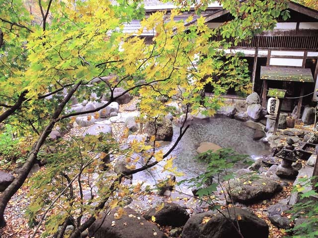 【新潟県・南魚沼の日帰り温泉】奥湯沢 貝掛温泉