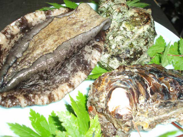 【秋田県・秋田市のランチ】割烹・郷土料理 入舟