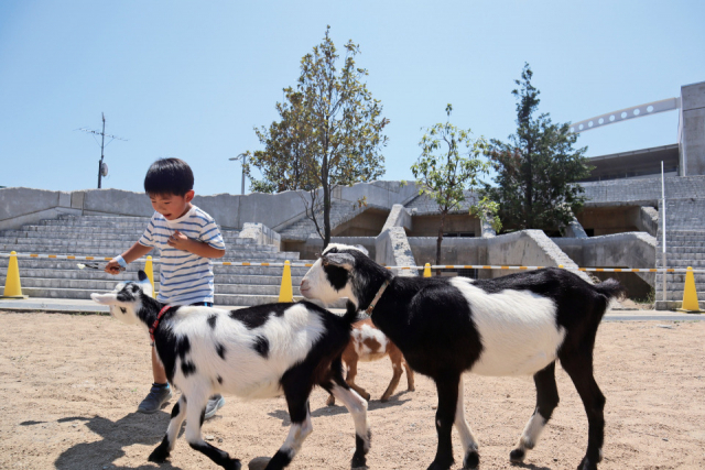 霞ケ浦どうぶつとみんなのいえ