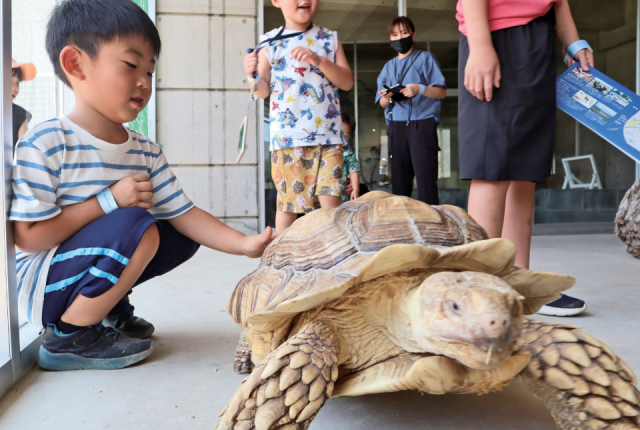 霞ケ浦どうぶつとみんなのいえ