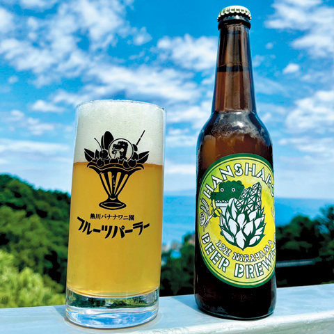 【東伊豆のツーリングスポット】熱川バナナワニ園