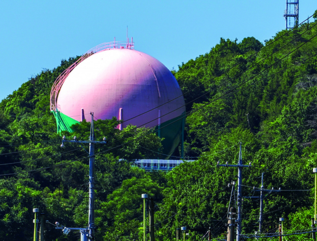 赤磐フルーツ映えスポット