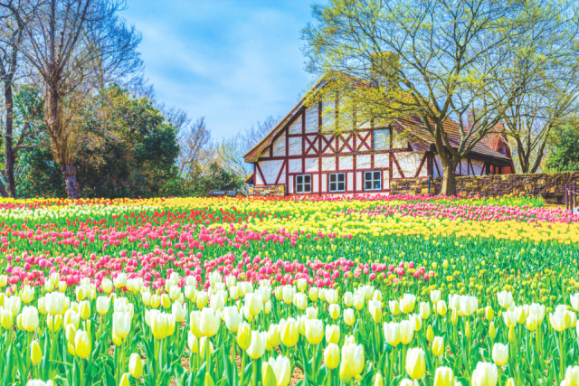 おかやまフォレストパーク ドイツの森