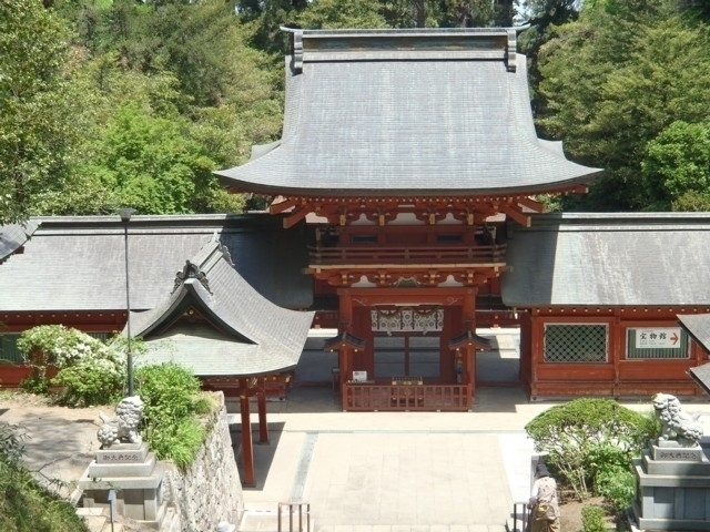 【群馬県・初詣2025】年初めの行事やアクセス、例年の人出など情報満載!静岡の初詣スポットおすすめ5選