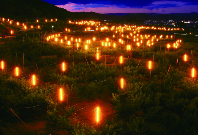 赤磐フルーツ映えスポット