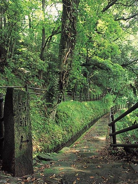 【中伊豆のツーリングスポット】湯道