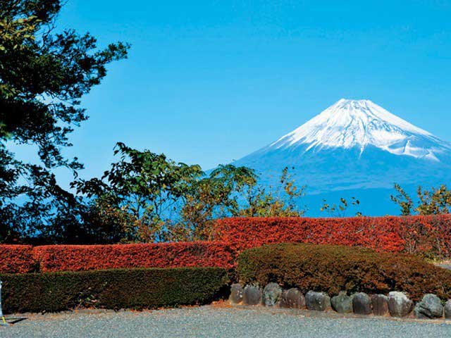 【西伊豆のツーリングスポット】だるま山高原レストハウス