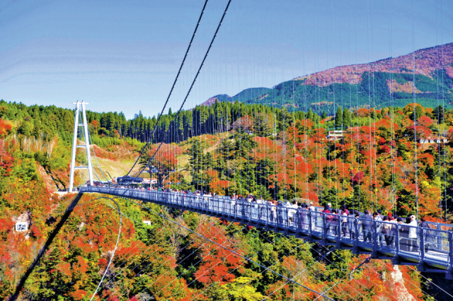 大分のおすすめツーリングスポット18選 定番から穴場までご紹介