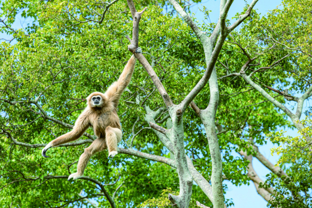 彫刻と植物と動物が迎えてくれる総合公園「宇部市 ときわ公園」