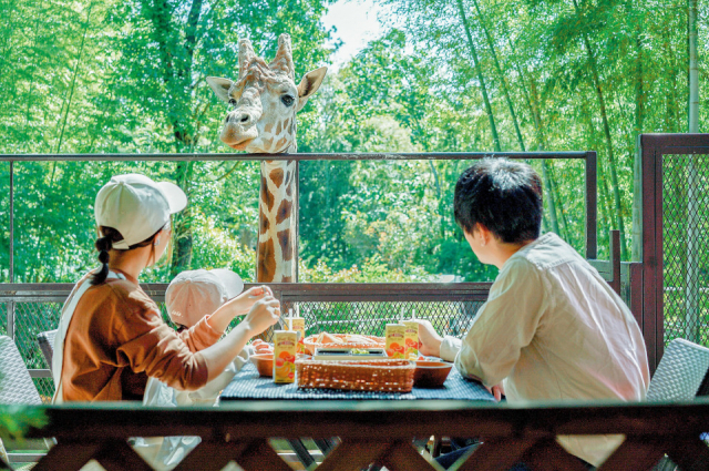 竹林で目覚めキリンと朝ごはん♪「ザ・バンブーフォレスト」