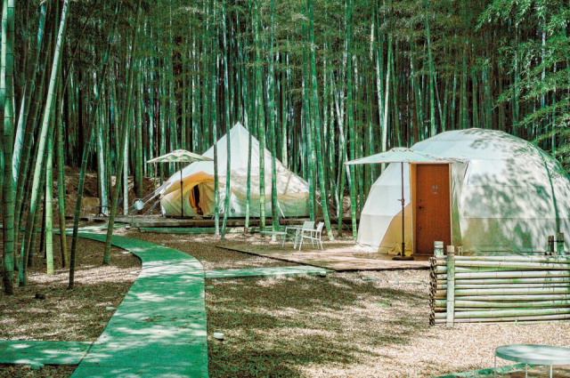 竹林で目覚めキリンと朝ごはん♪「ザ・バンブーフォレスト」