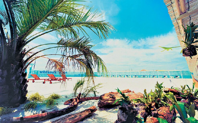 ワールドクラスのグランピングを体験「WILDBEACH 木更津」