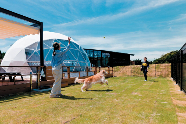 星空を愛する大人のためのリゾートが誕生!「ISUMI Glamping Resort & Spa SOLAS」