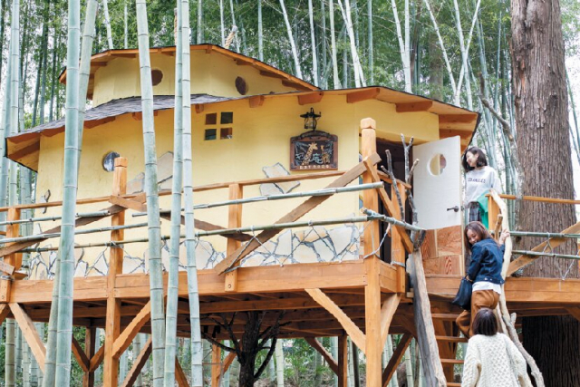 竹林で目覚めキリンと朝ごはん♪「ザ・バンブーフォレスト」