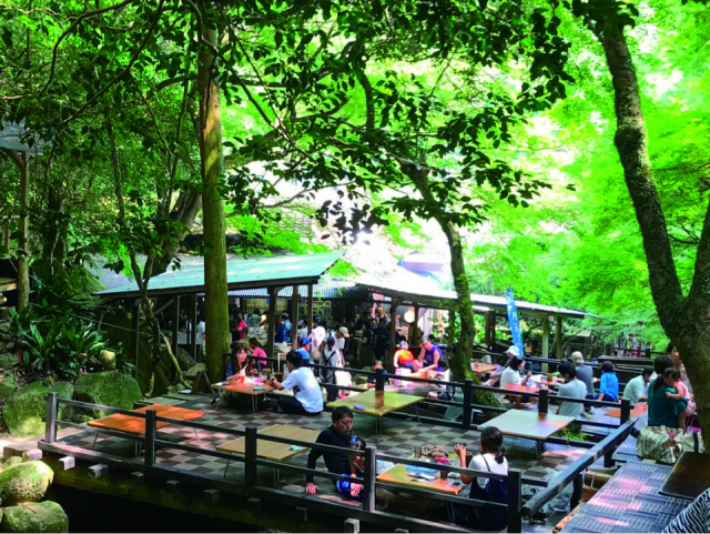 鳥のさえずりや、せせらぎがBGMのロケーションのよい食事処「だんごあん」