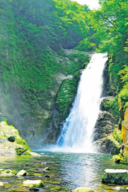 大迫力の名瀑を眺めリフレッシュ「秋保大滝」