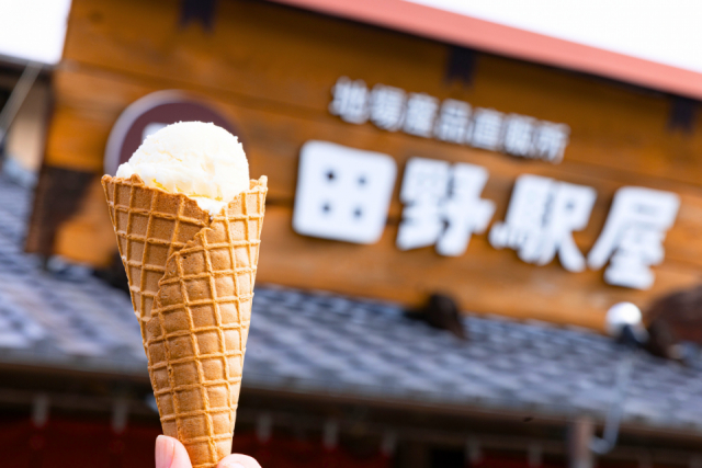 道の駅 田野駅屋