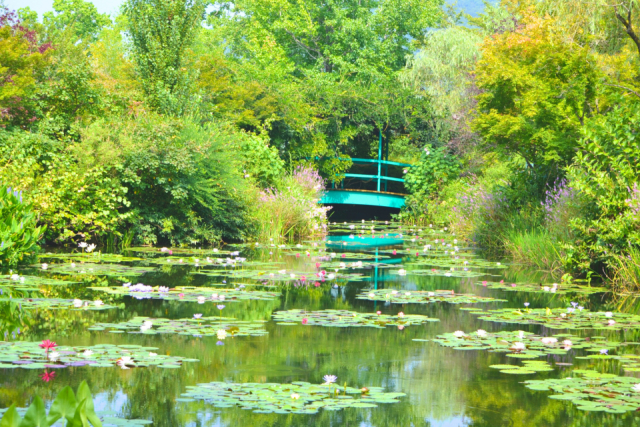 北川村「モネの庭」マルモッタン
