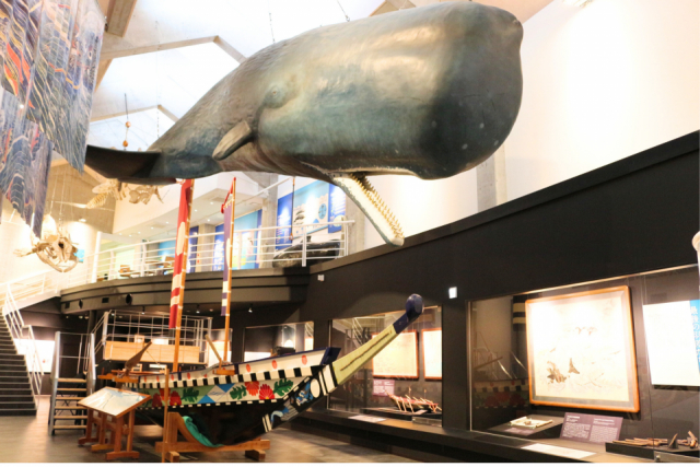 道の駅キラメッセ室戸