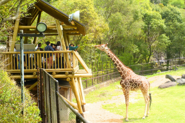 高知県立のいち動物公園