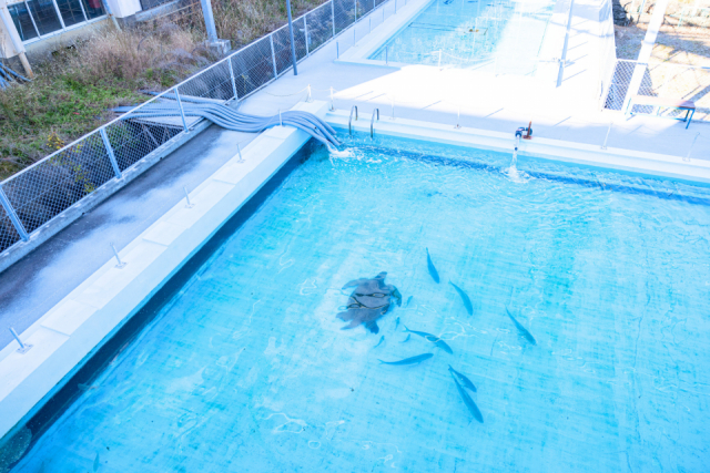 むろと廃校水族館