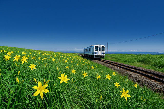 網走国定公園 小清水原生花園【斜里郡小清水町】