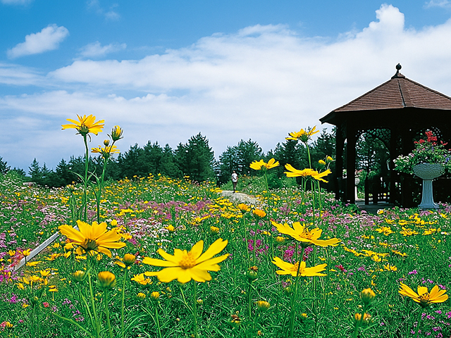 紫竹ガーデン遊華【帯広市】