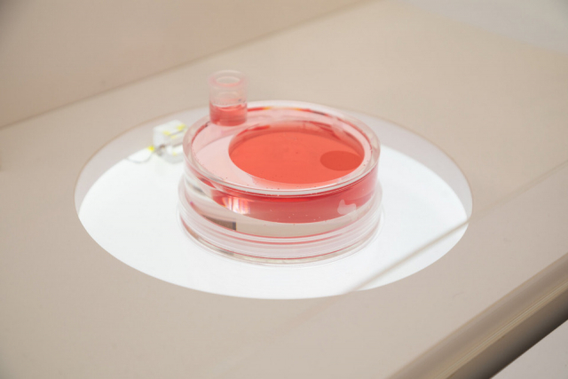 大阪万博の人気パビリオン① 大阪ヘルスケアパビリオン