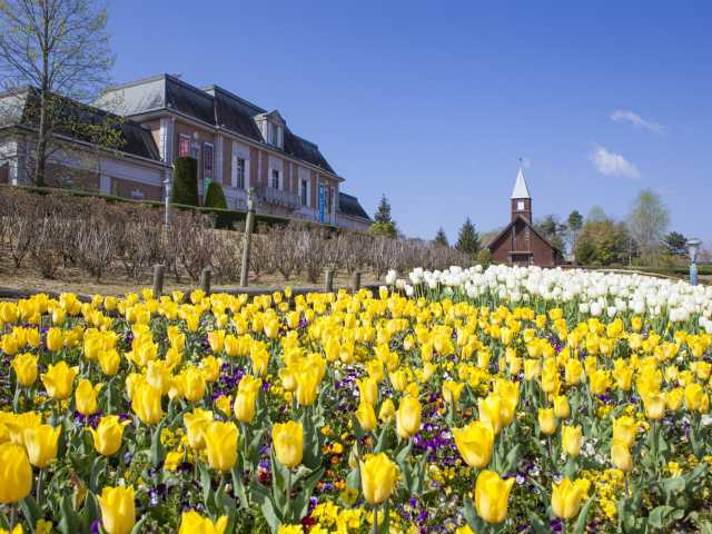 4月・5月に行きたい!兵庫県の花絶景スポット5選