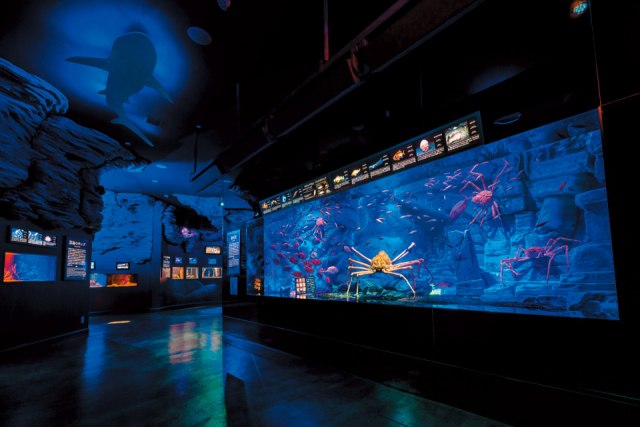 【伊豆】海鮮グルメと街歩きを楽しむ!沼津~三島の週末日帰りモデルコース