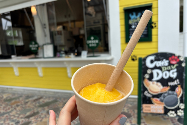 魔女の谷 2025年夏の限定メニューをチェックしよう!