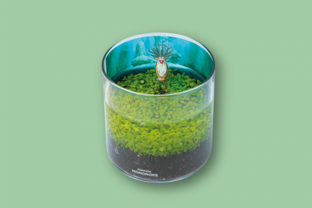 ロタンダ風ヶ丘でゴール!お土産もチェックしよう