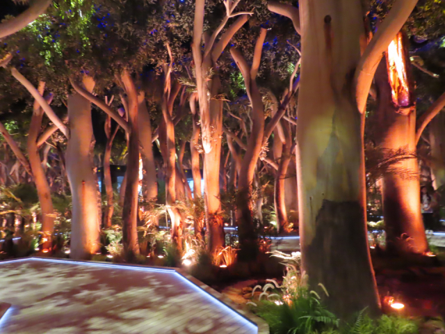 午前中は大屋根リングの左上の海外パビリオンをめぐろう