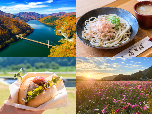 この秋は奥越ドライブ旅へ!紅葉&花畑の絶景や新そばを大満喫しよう