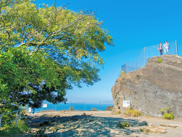 【日帰りで行ける!】千葉の良いトコどりドライブプラン!いきものとのふれあいや絶景を楽しむ