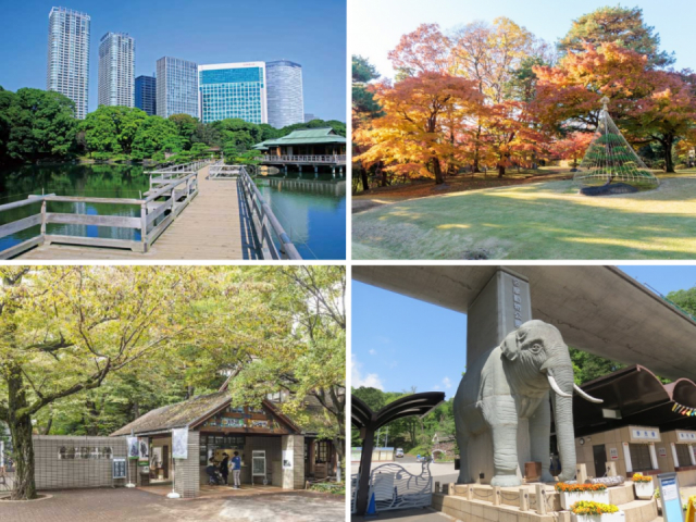 10月1日「都民の日」に無料で楽しめるおすすめスポット15選をご紹介!涼しい秋のおでかけを楽しもう