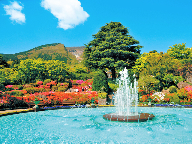 箱根の王道旅プラン!初心者さん必見の絶景・神社・クルーズを楽しむ日帰りモデルコース