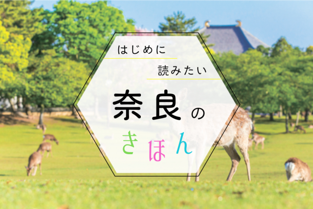 奈良観光の基本ガイド!季節の見どころ・おすすめエリア・持ち物まで、まっぷる編集部が教えます