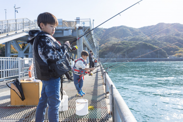 とっとパーク小島で楽しもう!サビキ釣りが簡単で手軽
