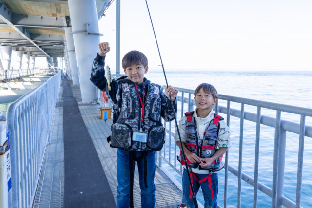 とっとパーク小島で楽しもう!サビキ釣りが簡単で手軽