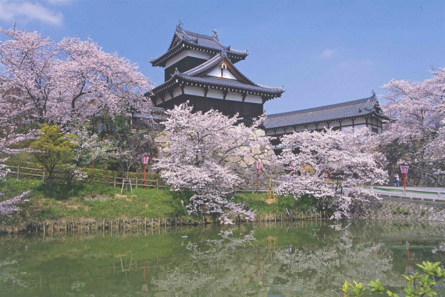 大河ドラマ「豊臣兄弟!」ゆかりの地・奈良県大和郡山へ!豊臣秀長の城下町を巡る旅