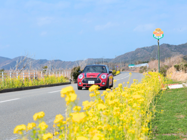 【千葉】房総フラワーラインをめぐる!春のおすすめドライブコース